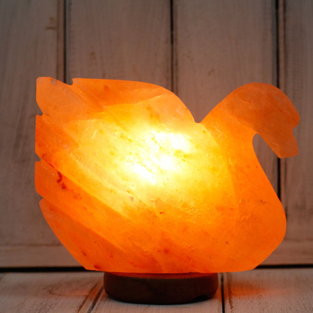 Lampă de Sare - Lebădă 7x17x14 cm